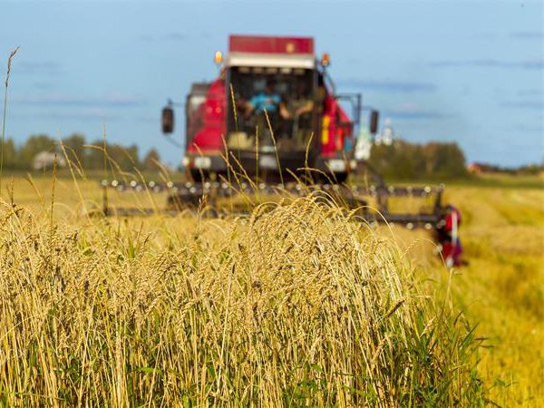 Hydraulic Products for Harvester